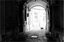 b&w / ***