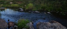 Viel Wasser unter der Brücke seitdem geflossen ... / ***