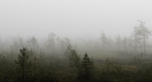 Karelischen Morgen / ***