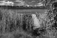 See-Dock / ..........
