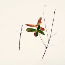 Helle Winter / ***