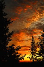 Letzte Nacht ... / ......