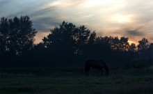 Bei Sonnenuntergang / ***