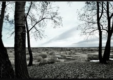 Dalin wird / ***