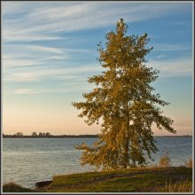 Herbstabend / ***