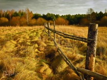 Herbstmotiv / -------------
