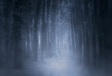 Welcome... / ______________