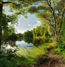 Der alte Teich ... / ***