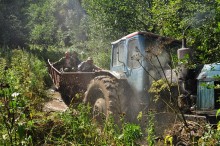 Wald extreme / ***