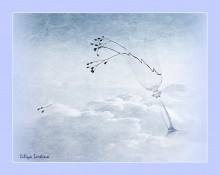 Winds of Change / ..............................