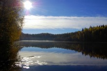 Forest Lake / ***