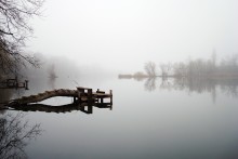 Das in der Stille der Nebel aufgelöst? .. / . . .