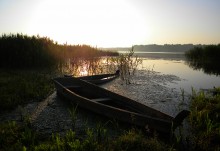 Morgendämmerung / ***
