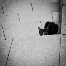 ...... Wer sind Sie? / ....:)