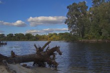 An der See (4) / .....