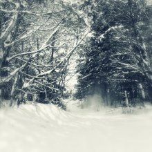 Winter / ***