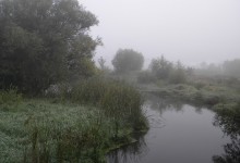 Foggy Day / ***