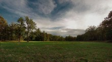 Abend im Park ... / ***