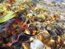 Kleiner Fluss / ***