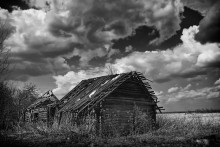 Immobilienmakler / ***