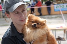 Interview auf der Hundeausstellung / ***