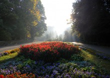 Park am Morgen / ***
