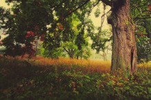 3D - Autumn / ***
