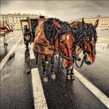 Zwei der regen / ***
