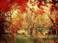 in diesem Herbst .. / ***