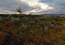 The Landscape #3067 / ***