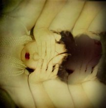 You don't see the real self... / .........