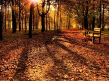 Goldener Herbst / ***