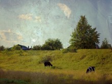 Pastoral ...:) / http://www.youtube.com/watch?v=BQfbIRwtLug&feature=related