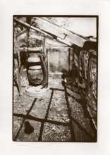 greenhouse / ***