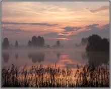 Dawn. Fog. Mai. / ***