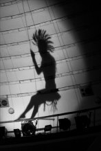 Circus, Circus, Circus ... / ***