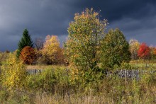 Nur Fall ... / ***