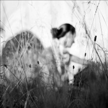 Kräuter / ___________