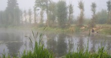 Morgen / ,,,,,,,,,,,,,,,,,,,,,