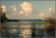 Marshy Bucht / ***