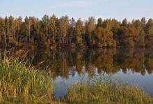 Die Herbstmorgen / ***