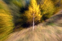 Herbst-Traum / ***
