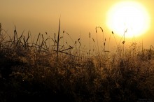 Guten Morgen / ***