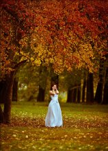 Autumn Seele Feuer / ***