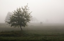 Nebel / ,,,,,,,,,,,,,,,,,,