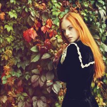  / ***