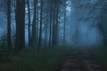 Abenddämmerung / .....................