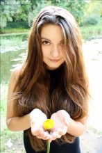 Lilie / ***