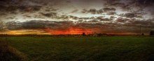 Feuer / ***