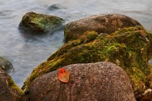 Oktober (2) / *****